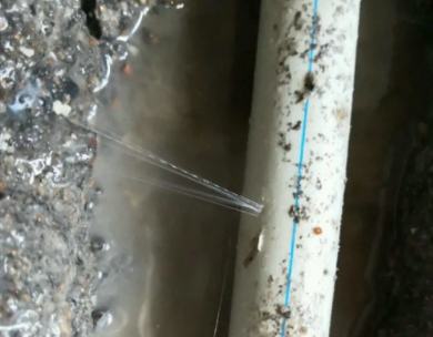 聂拉木测漏水哪家好