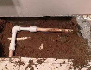 聂拉木测漏水哪家好