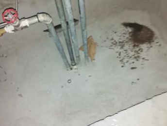 聂拉木卫生间测漏水价格明细