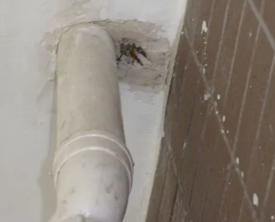 聂拉木漏水检测哪家好